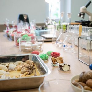 Dzień Otwarty - dziękujemy za obecność!