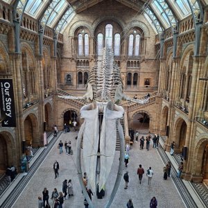 Młodzież michalicka zdobywa Londyn